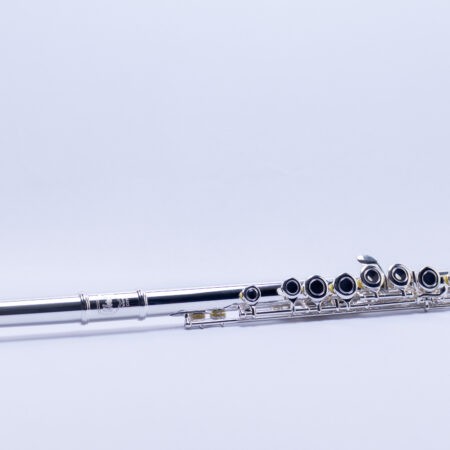 Saxofone alto profissional Weril A330 – Weril